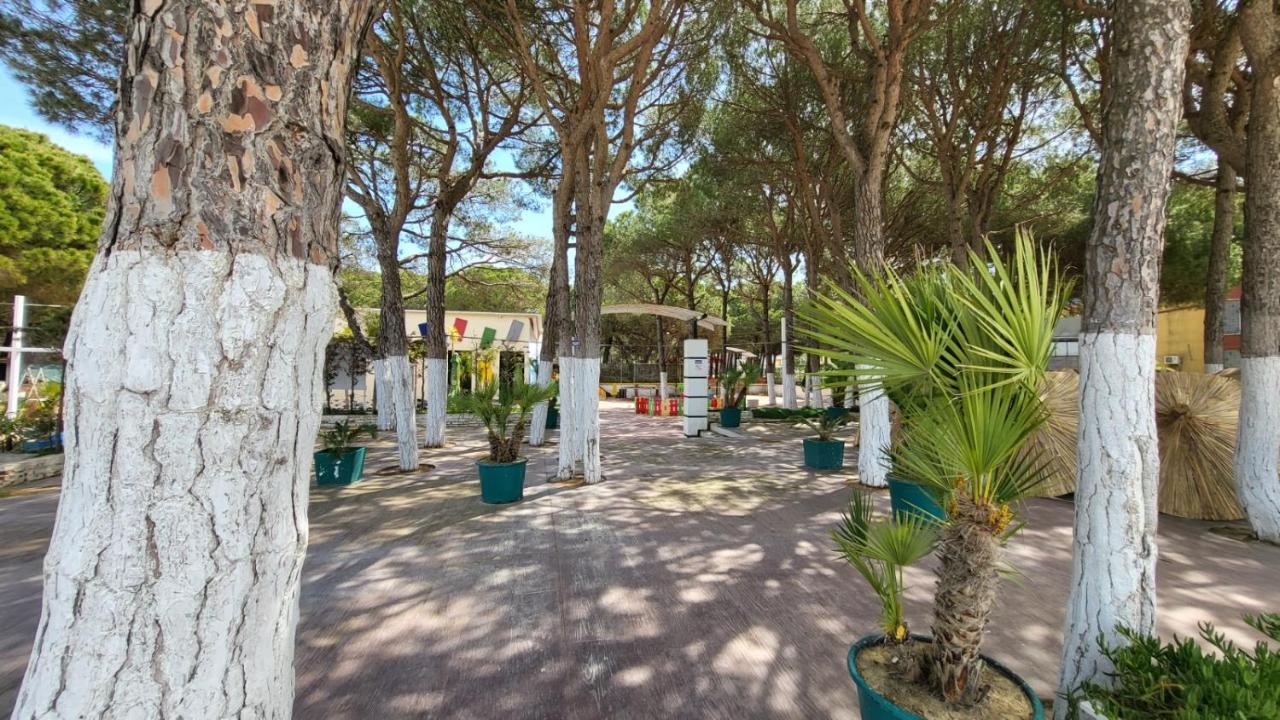 Bellissima Casa Al Mare Con Vista Mozzafiato Apartment